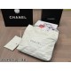 Chanel 22bag size: 39*42cm (medium)