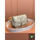 M46583	Louis Vuitton	DIANE Handbag size:23x16x8.5CM