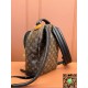 M44871 Louis Vuitton PALM SPRINGS Small Backpack size:20x31x10cm