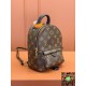 M44873 Louis Vuitton PALM SPRINGS Mini Backpack size:17x22x10cm